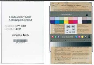 Entnazifizierung Nelly Luttgens, geb. 18.10.1893 ()