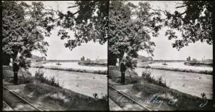 An der Ijssel bei De Steeg