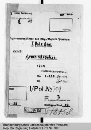 Gemeindepolizei (Schutzpolizei der Gemeinden