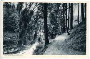 Grabentour. An der Grabentour