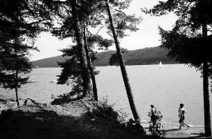 Parkanlage beim Campingplatz mit Bäumen im Vordergrund am Schluchsee