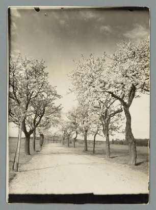 Von Prießnitz nach Frohburg
