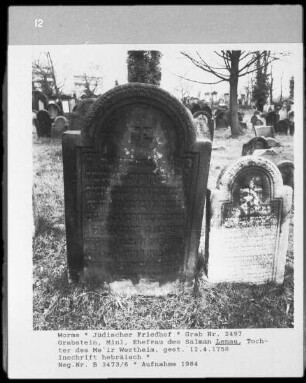 Grabstein von Minl Lenau, Ehefrau von Salman Lenau (+ 1758.04.12)