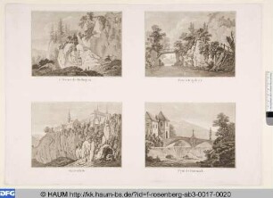 4e Ruine de Pfeffingen