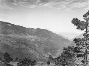 Vegetationsansicht : Vegetation eines Gebirges