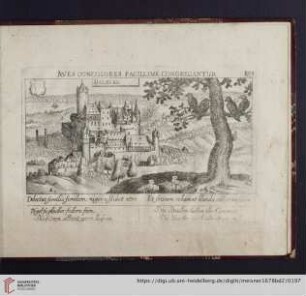 B99. Dalberg, "Aves concolores facillime congregantur"