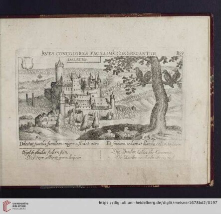 B99. Dalberg, "Aves concolores facillime congregantur"