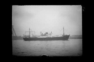 Delia (1951), Frachtschiff, Neptun, Dampfschiffahrts-Gesellschaft, Bremen, Bau-Nr. 348