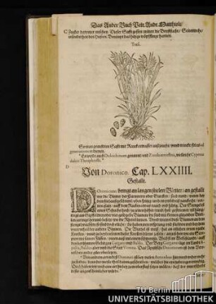 Cap. LXXIIII. Von Doronico.