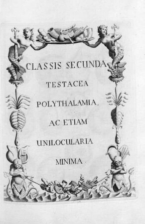 CLASSIS SECUNDA TESTACEA POLYTHALAMIA, AC ETIAM UNILOCULARIA MINIMA