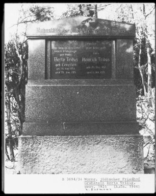 Grabstein von Berta Tribus, geborene Levystein (gestorben 1925.06.20) und Heinrich Tribus (gestorben 1929.07.?)