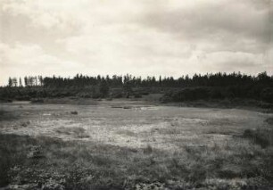 Erzgebirge. Böhmen. Kranichsee. Verlandungsbild