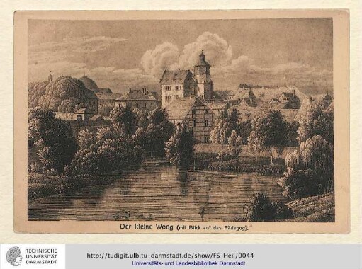 Der kleine Woog (Mit Blick auf das Pädagog) (43).