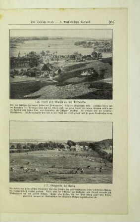 Viehweide bei Eutin