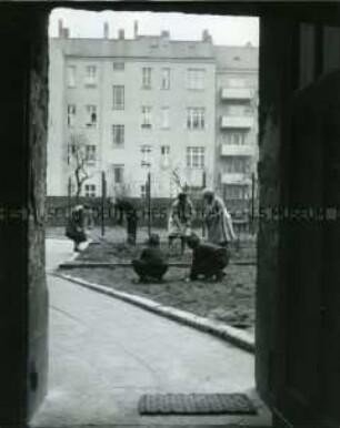 Eine Hausgemeinschaft in Berlin-Lichtenberg verschönert den Hinterhof