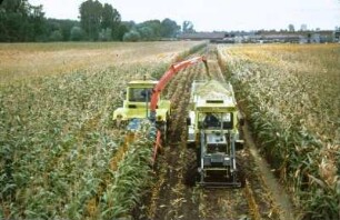 Fotografie: Futtererntetechnik, Silomais, Rückfahreinrichtung, Feldhäcksler angebaut