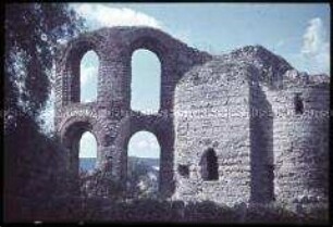 Die Kaiserthermen in Trier