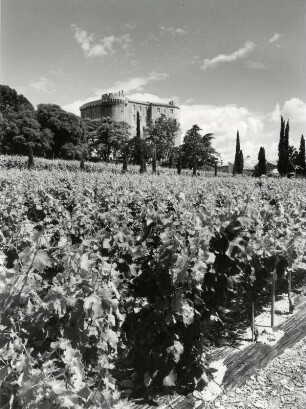 Haute Provence, Weinfeld mit Schloß Suze-la-Rousse