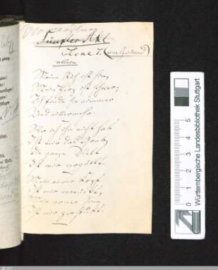 eingebundene Leerseiten mit handschriftlichen Anmerkungen
