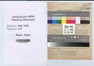 Entnazifizierung Julius Raue , geb. 03.02.1900 (Gartenbaulehrer)