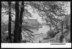 Blick auf Schloss Tetschen an der Elbe