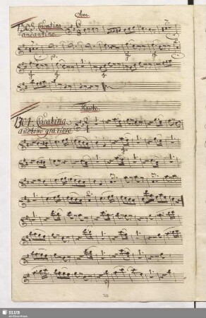 1303. Cavatina: Vola il tempo / Seydelmann, F.