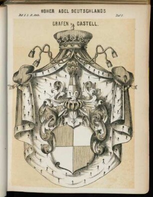 Taf. 5. Grafen v. Castell.