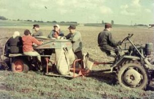 Fotografie: Kartoffel, Erntetechnik, Kartoffelsammelroder, Arbeitsplatz, Handarbeit