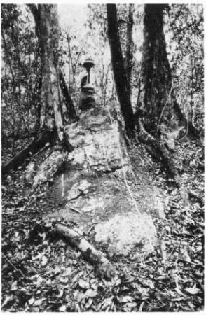 Naachtun, Stela 11 (NCT: St. 11)