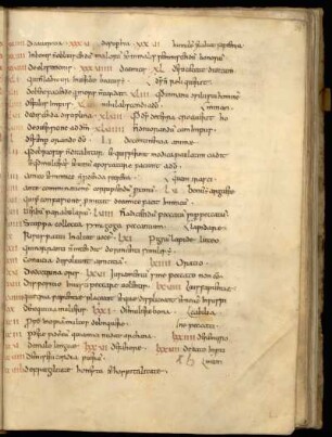 Summarium zum Liber Iesu filii Sirach