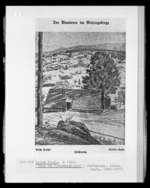 Hain im Riesengebirge