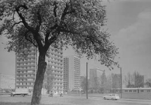 Dresden. Blick auf die Appartementhochhäuser am Leninplatz, das Hotel "Newa" und die Appartementhochhäuser Sidonienstraße
