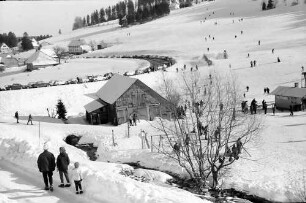 Altglashütten: Skihang an der Straßenkurve
