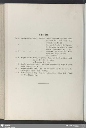 Tab. VIII