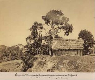 Provisorische Wohnung wilder Amauas-Indianer (aus Colombia) am Rio Japurá. 15 deutsche Meilen von seiner Einmündung in den Amazonas