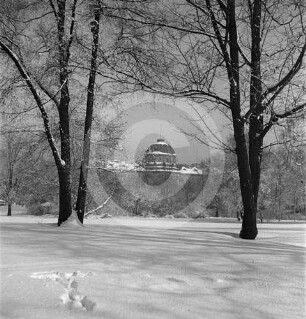 Winterlicher Park in Posen