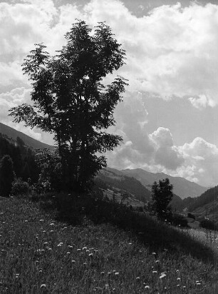 Wolkenbilder. Gebirgslandschaft (vielleicht im Mölltal)