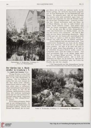 12: Der Garten von A. Hochstraßer in Cronberg i. T.