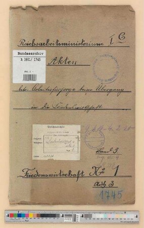 Die Arbeiterfürsorge beim Übergang in die Friedenswirtschaft: Bd. 3