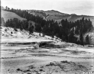 Die Mammoth Cleopatra Quelle : Die Mammoth Cleopatra Quelle der Mammoth Hot Springs.