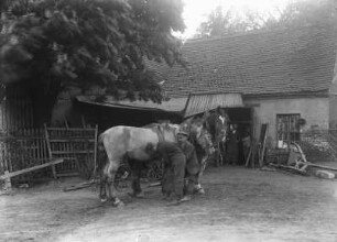 Dorfschmiede : Frohburg, Dorfschmiede. Hufschmiede bei der Arbeit