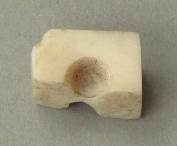 Shell artefact (fragment)