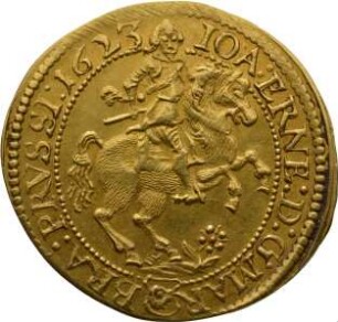Münze, Goldgulden, 1623