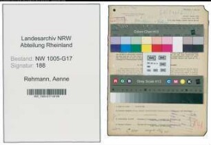Entnazifizierung Aenne Rehmann , geb. 14.01.1900 (Druckereibesitzerin)