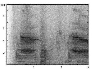 Hausesel | Equus asinus f. asinus - Lautfolge