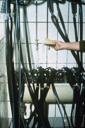 Fotografie: Melktechnik, Rohrmelkanlage, Melkzeug, Reinigungstechnik