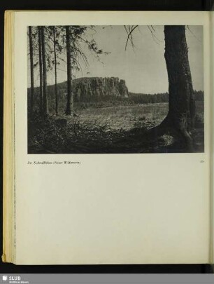 Der Kuhstallfelsen (Neuer Wildenstein)