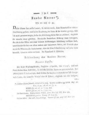 Rauhe Natter