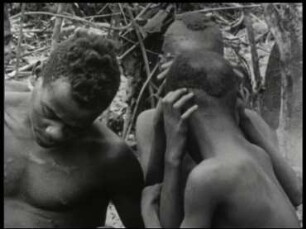 Bayaka-Pygmäen (Zentralafrika) - Soziales Lausen zwischen Mädchen und einem jungen Mann