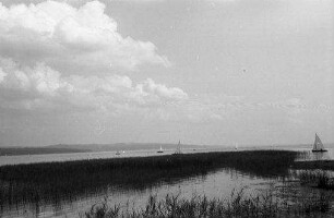 Unterschondorf: Schilf und See